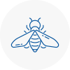 Bee Nest Removal Altrincham