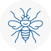 Altrincham Hornet Nest Removals