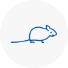 Mice Exterminators In Altrincham