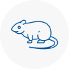 Rat Control Altrincham