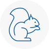 Altrincham Rodent Removals