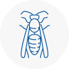 Altrincham Wasp Nest Removal
